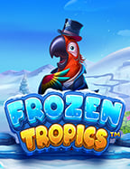 สล็อต โร ม่า อยู่ ค่าย ไหน มีอะไรน่าสนบ้าง เฉลยที่นี่!